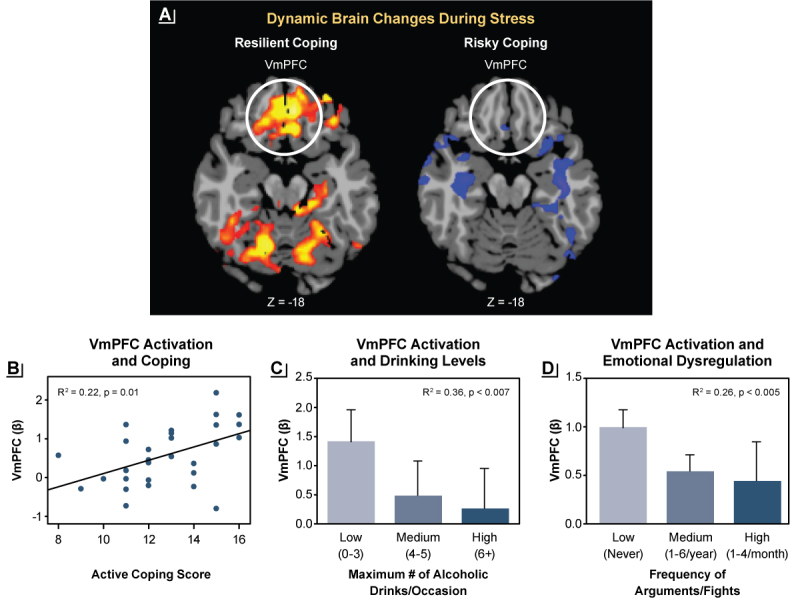 Alcohol's Negative Emotional Side: The Role of Stress Neurobiology in Alcohol Use Disorder.