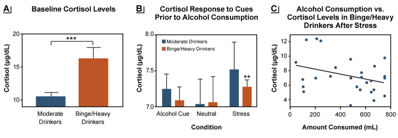 Alcohol's Negative Emotional Side: The Role of Stress Neurobiology in Alcohol Use Disorder.