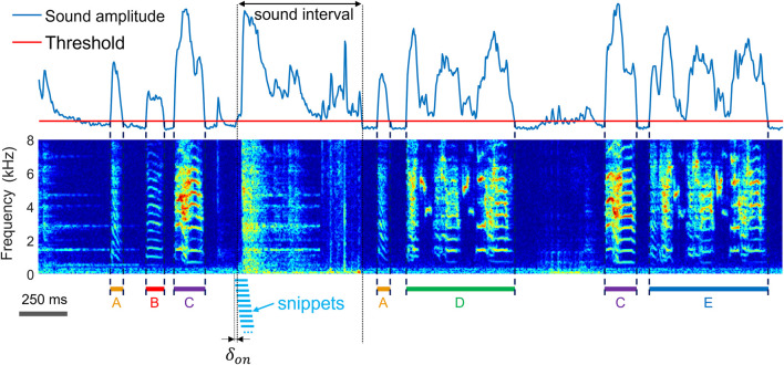 Interactive extraction of diverse vocal units from a planar embedding without the need for prior sound segmentation.