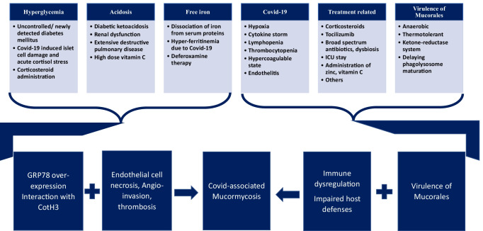 Pathogenesis and Pathology of COVID-Associated Mucormycosis: What Is New and Why.