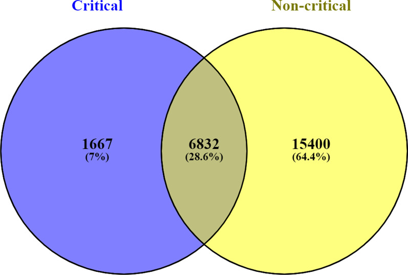 Characterization of the expressed RNA variants from young patients with critical and non-critical SARS-CoV-2 infection.