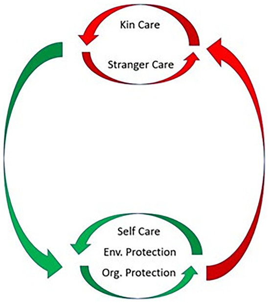 The evolution of the human healthcare system and implications for understanding our responses to COVID-19.