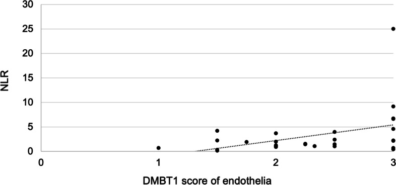 DMBT1 expression and neutrophil-to-lymphocyte ratio during necrotizing enterocolitis are influenced by impaired perfusion due to cardiac anomalies.