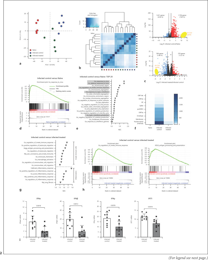 Innate Immune Training with Bacterial Extracts Enhances Lung Macrophage Recruitment to Protect from Betacoronavirus Infection.