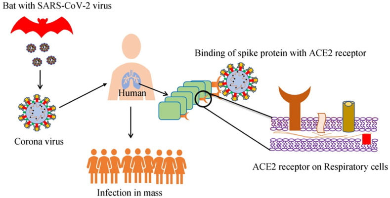 Analytical performances of different diagnostic methods for SARS-CoV-2 virus - A review