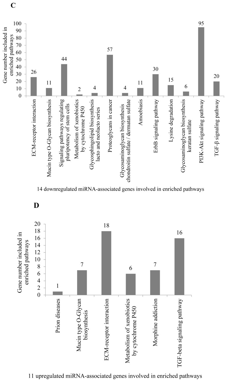 The comparison of differentially expressed microRNAs in Bag-1 deficient and wild type MCF-7 breast cancer cells by small RNA sequencing.