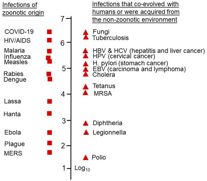 Emergence of epidemic diseases: zoonoses and other origins.