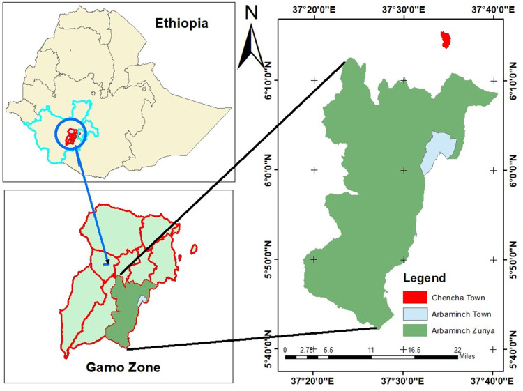 Bovine Mastitis: Prevalence, Risk Factors, and Bacterial Pathogens Isolated in Lactating Cows in Gamo Zone, Southern Ethiopia.