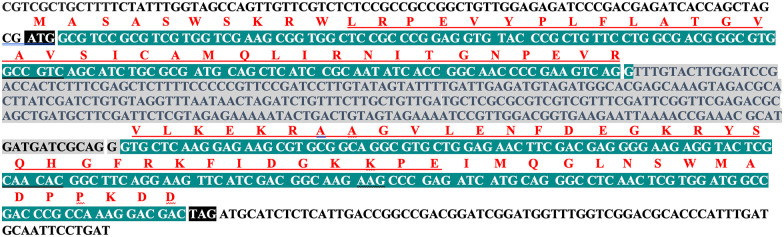 Characterization and Expression Analysis of <i>B12D-Like</i> Gene From Pearl Millet.