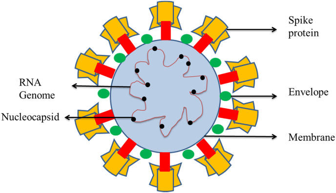 Analytical performances of different diagnostic methods for SARS-CoV-2 virus - A review