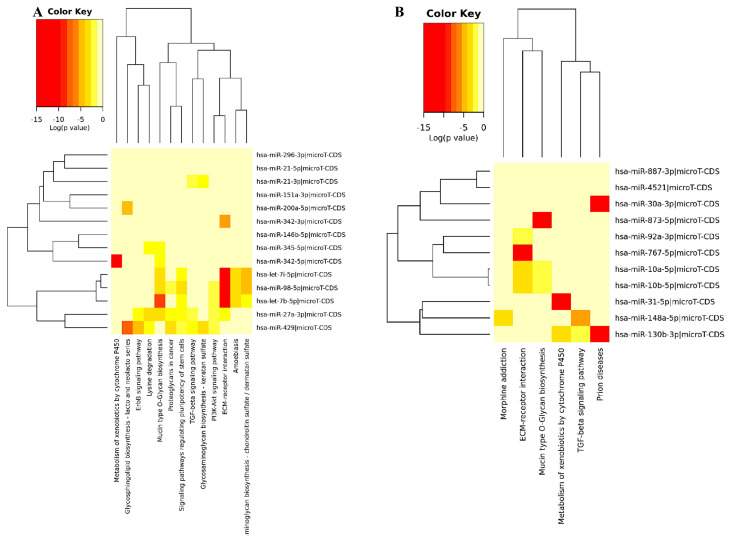 The comparison of differentially expressed microRNAs in Bag-1 deficient and wild type MCF-7 breast cancer cells by small RNA sequencing.