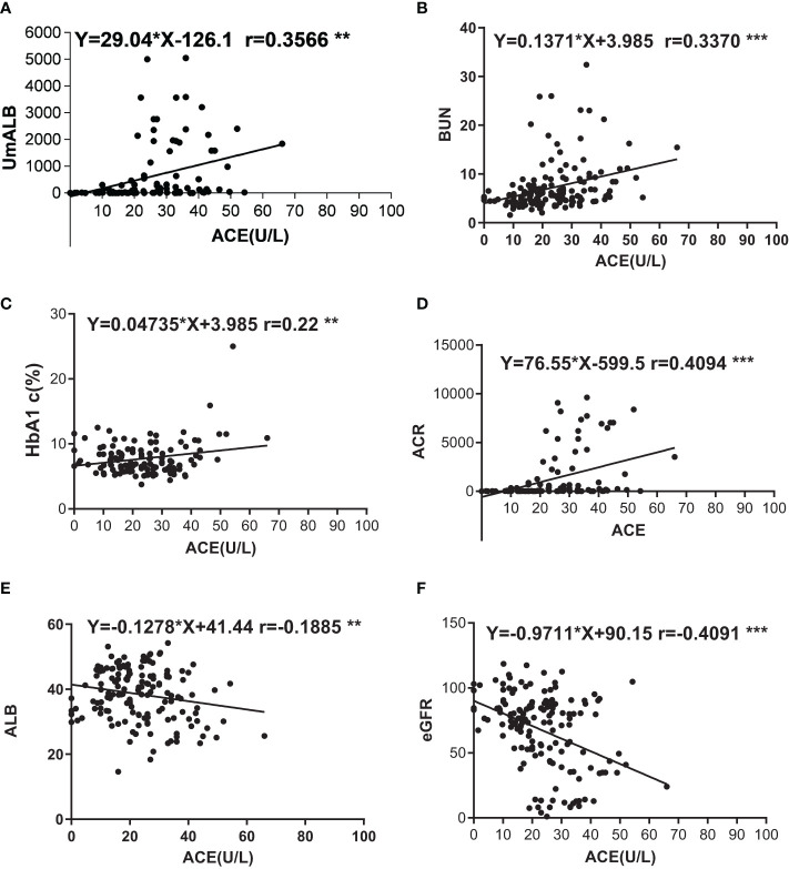 Elevated ACE Levels Indicate Diabetic Nephropathy Progression or Companied Retina Impaired.