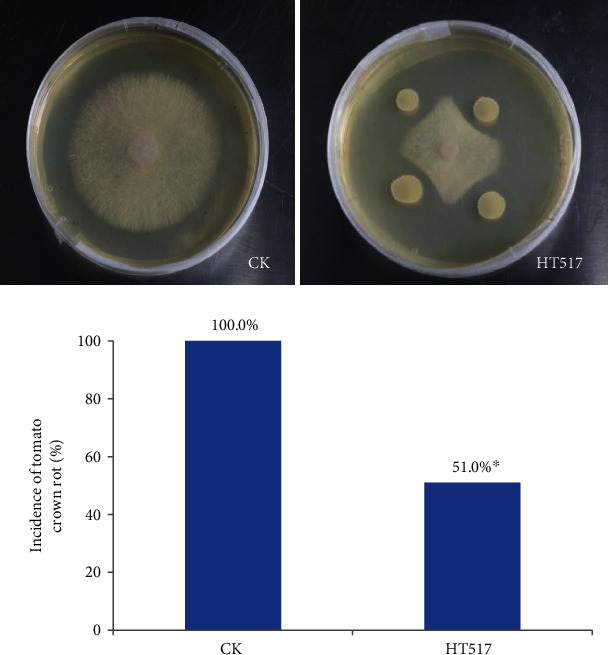 A Genomic Analysis of <i>Bacillus megaterium</i> HT517 Reveals the Genetic Basis of Its Abilities to Promote Growth and Control Disease in Greenhouse Tomato.