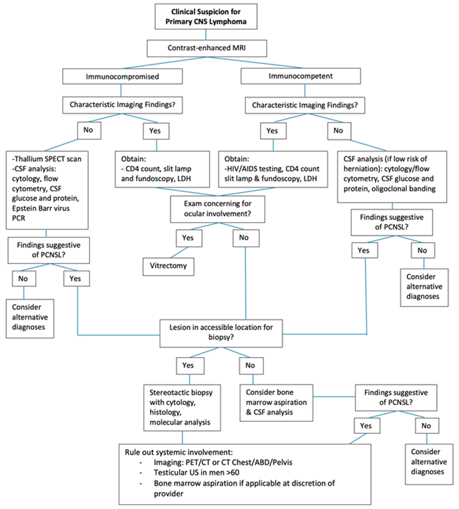 CNS Lymphoma: Clinical Pearls and Management Considerations.