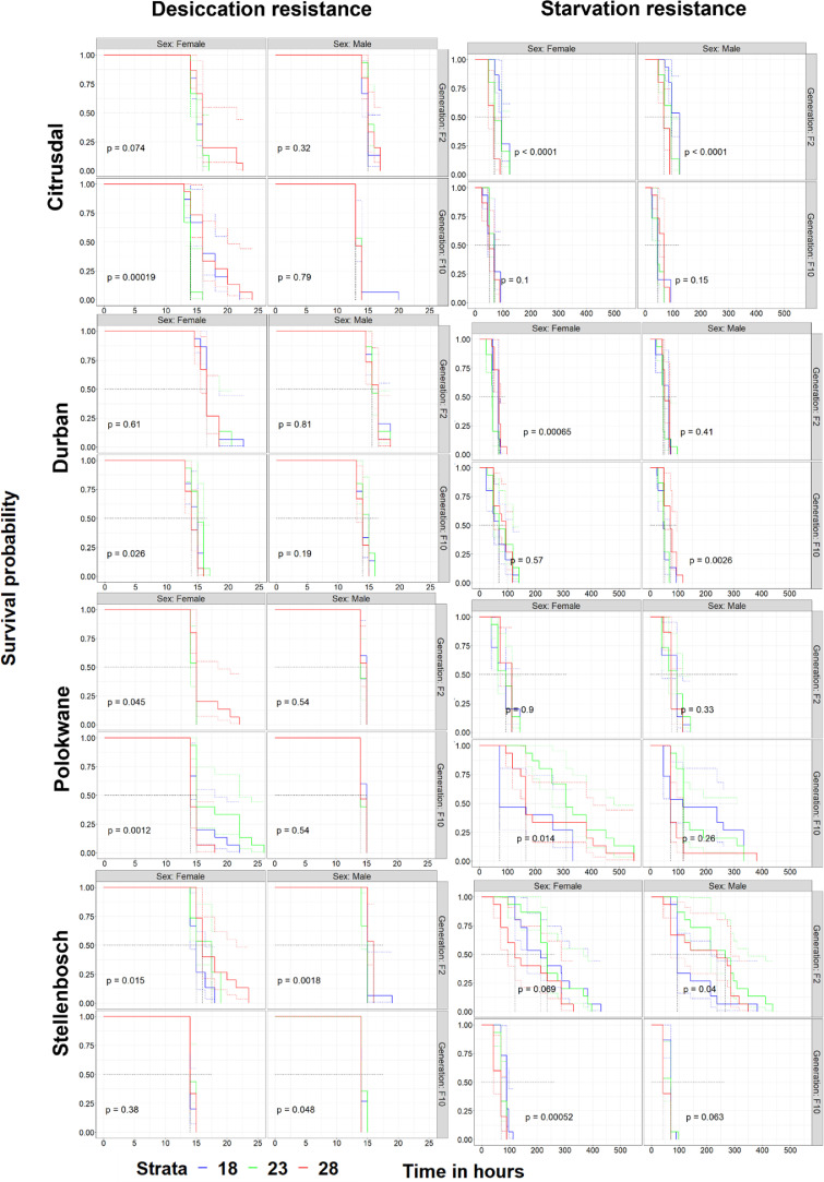 Are Signals of Local Environmental Adaptation Diluted by Laboratory Culture?