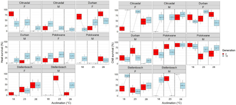 Are Signals of Local Environmental Adaptation Diluted by Laboratory Culture?