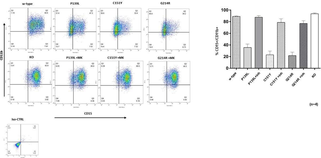 Comparison of Gene Editing versus a Neutrophil Elastase Inhibitor as Potential Therapies for <i>ELANE</i> Neutropenia.