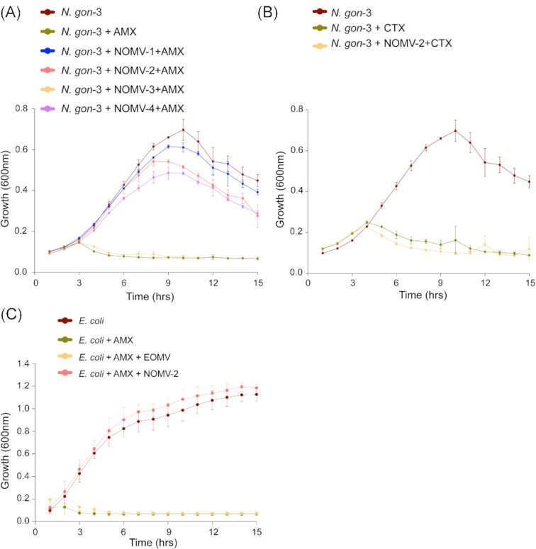 <i>Neisseria gonorrhoeae</i>-derived outer membrane vesicles package β-lactamases to promote antibiotic resistance.