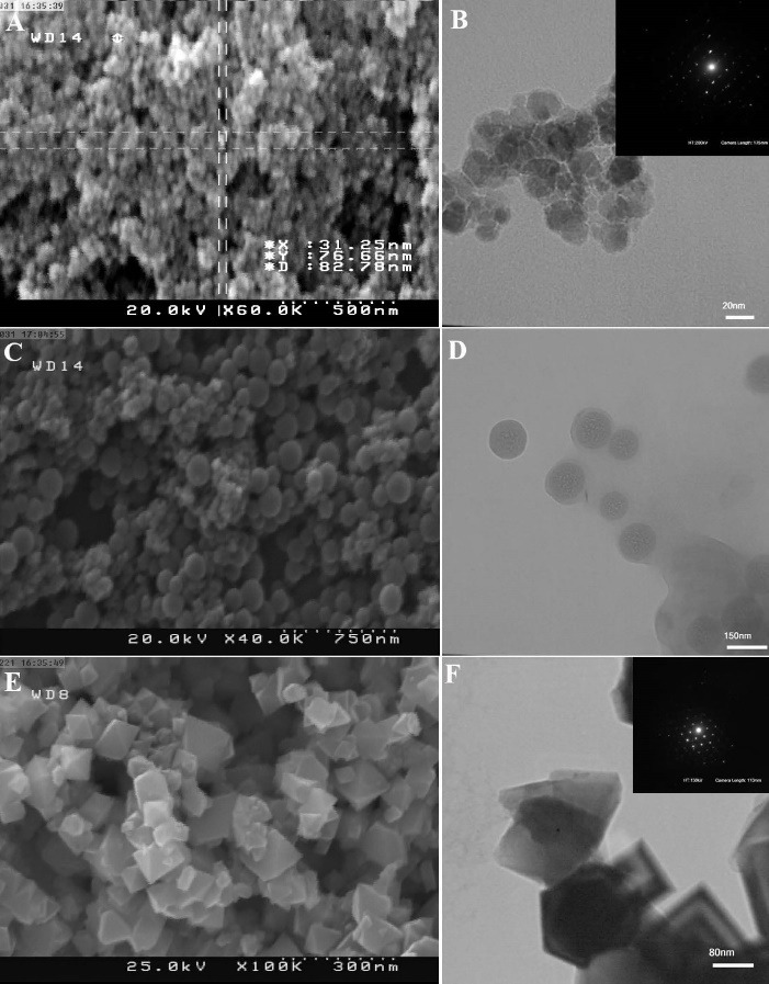 Simulation and fabrication of an integrating well-aligned silicon nanowires substrate for trapping circulating tumor cells labeled with Fe<sub>3</sub>O<sub>4</sub> nanoparticles in a microfluidic device.