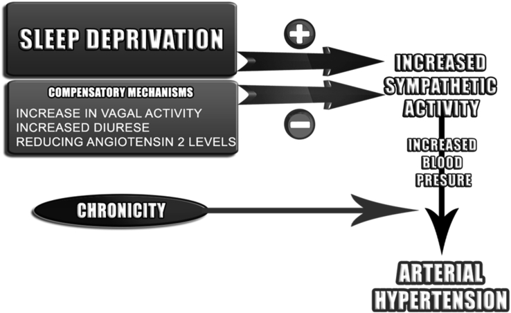 The association between sleep deprivation and arterial pressure variations: a systematic literature review