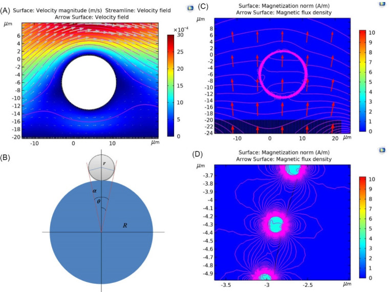 Simulation and fabrication of an integrating well-aligned silicon nanowires substrate for trapping circulating tumor cells labeled with Fe<sub>3</sub>O<sub>4</sub> nanoparticles in a microfluidic device.