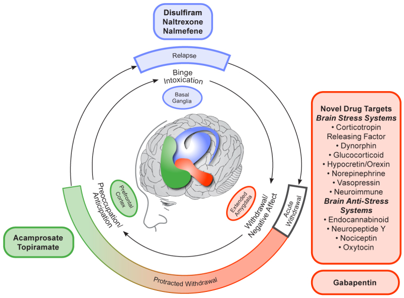 Looking Back, Looking Forward: Current Medications and Innovative Potential Medications to Treat Alcohol Use Disorder.