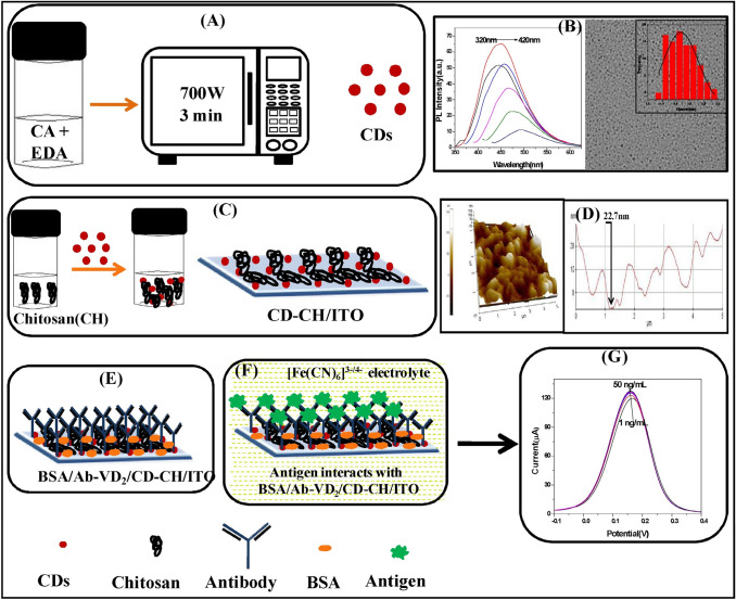 Advances in electrochemical and optical sensing techniques for vitamins detection: a review.