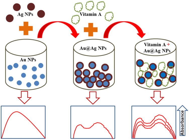 Advances in electrochemical and optical sensing techniques for vitamins detection: a review.