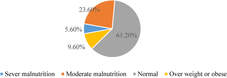 Undernutrition and Associated Risk Factors among Adult HIV/AIDS Patients Attending Antiretroviral Therapy at Public Hospitals of Bench Sheko Zone, Southwest Ethiopia.