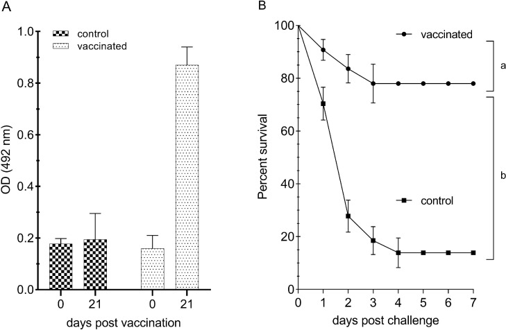 Modulation of expression of proinflammatory genes and humoral immune response following immunization or infection with Aeromonas hydrophila in silver catfish (Rhamdia quelen)