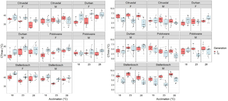 Are Signals of Local Environmental Adaptation Diluted by Laboratory Culture?