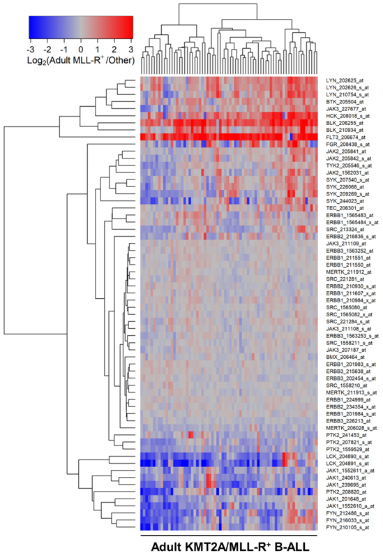 Tyrosine kinases in KMT2A/MLL-rearranged acute leukemias as potential therapeutic targets to overcome cancer drug resistance.