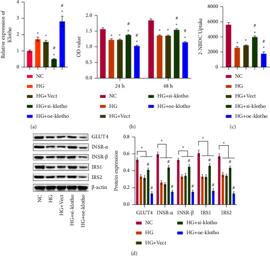 Upregulation of Klotho Aggravates Insulin Resistance in Gestational Diabetes Mellitus Trophoblast Cells.