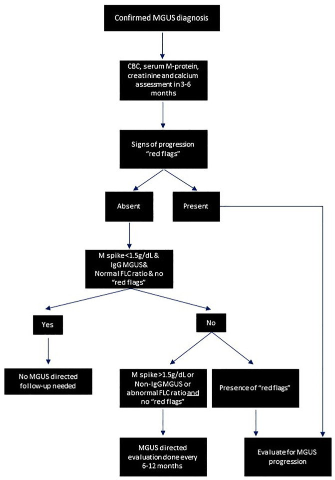 Monoclonal gammopathy of undetermined significance: evaluation, risk assessment, management, and beyond.