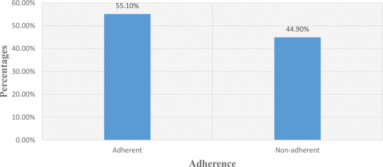 Medication-related burden and associated factors among diabetes mellitus patients at Felege Hiwot Comprehensive Specialized Hospital in northwest Ethiopia.