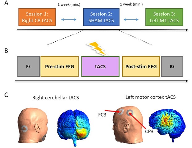 Classification of EEG Signals Reveals a Focal Aftereffect of 10 Hz Motor Cortex Transcranial Alternating Current Stimulation.