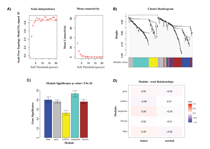 Gene Expression Characteristics of Tumor and Adjacent Non-Tumor Tissues of Pancreatic Ductal Adenocarcinoma (PDAC) In-Silico.