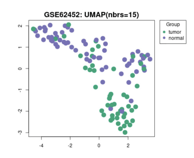 Gene Expression Characteristics of Tumor and Adjacent Non-Tumor Tissues of Pancreatic Ductal Adenocarcinoma (PDAC) In-Silico.