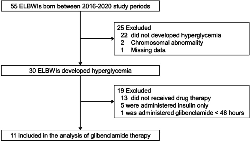 Experience with enteral sulfonylurea monotherapy for extremely low birth weight infants with hyperglycemia.