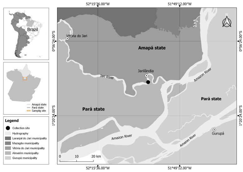 Ecology and diversity of metazoan parasites infecting Geophagus altifrons (Cichliformes: Cichlidae) from the Amazon River system in northern Brazil.