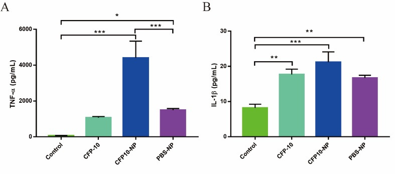 CFP10-loaded PLGA nanoparticles as a booster vaccine confer protective immunity against <i>Mycobacterium bovis</i>.