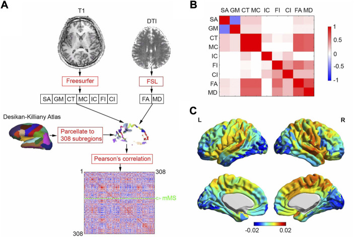 Morphometric similarity networks discriminate patients with lumbar disc herniation from healthy controls and predict pain intensity.