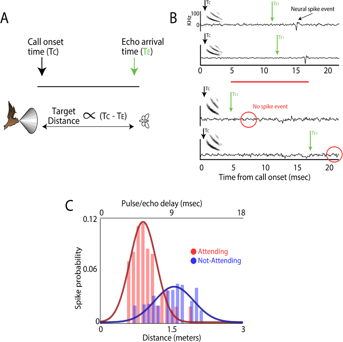 Spatial attention in natural tasks [version 1; peer review: 2 approved with reservations].