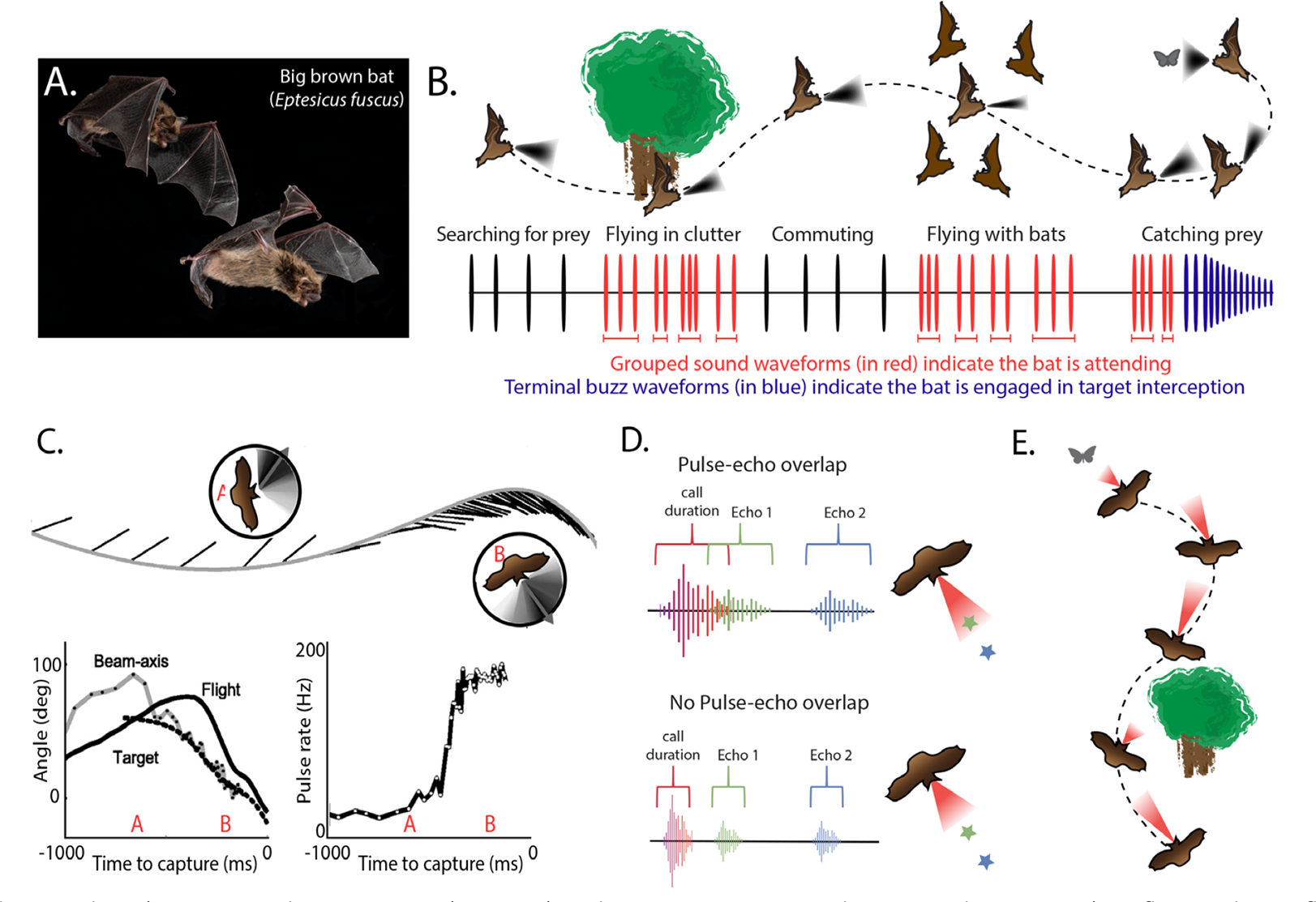 Spatial attention in natural tasks [version 1; peer review: 2 approved with reservations].