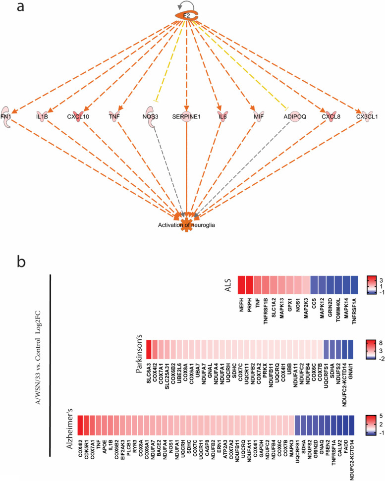 Altered gene expression in human brain microvascular endothelial cells in response to the infection of influenza H1N1 virus.