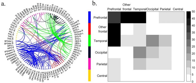 Brain functional topology differs by sex in cognitively normal older adults.