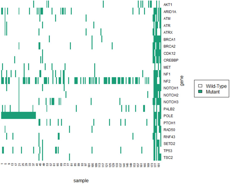 Association between tumor mutations and meningioma recurrence in Grade I/II disease.