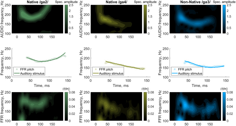 Early Development of Neural Speech Encoding Depends on Age but Not Native Language Status: Evidence From Lexical Tone.