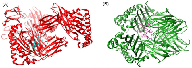 Designing multi-epitope based peptide vaccine candidates against SARS-CoV-2 using immunoinformatics approach.