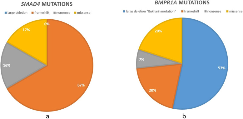 Phenotypic diversity among juvenile polyposis syndrome patients from different ethnic background.